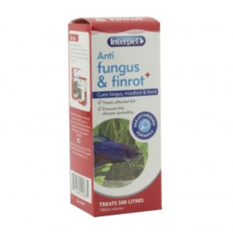 Interpet Anti Fungus and Finrot 100ml