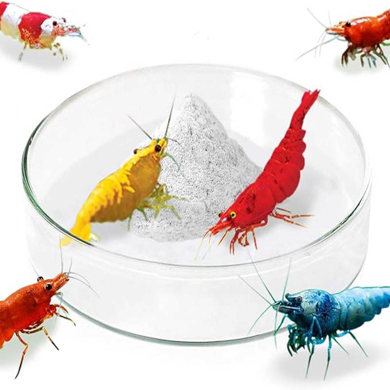 Glass Shrimp Feeding Dish – 65mm