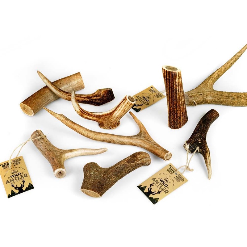 Wild Red Deer Antler Olive Oil XXLarge 200gr+