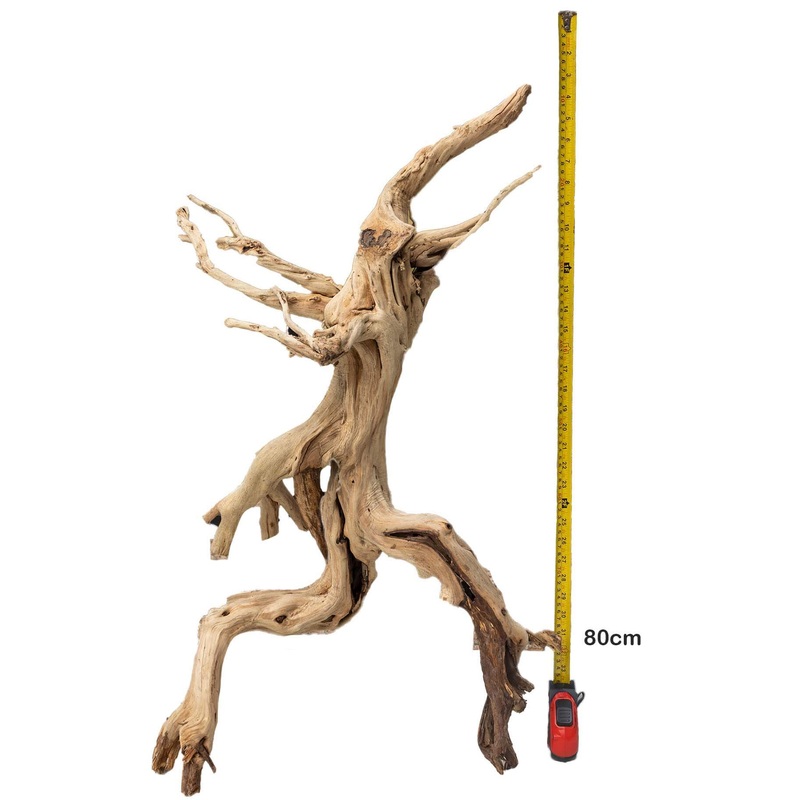 Aqua Natural Red Moore Driftwood Jumbo 90cm – Instore Pick Up Only