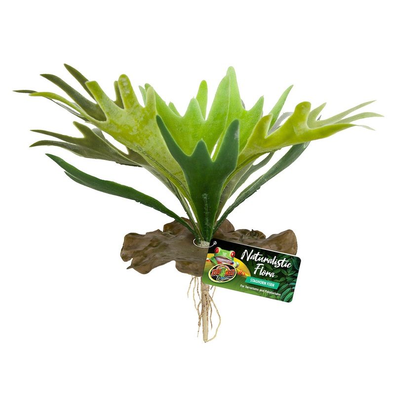 Zoo Med Naturalistic Flora Staghorn Fern