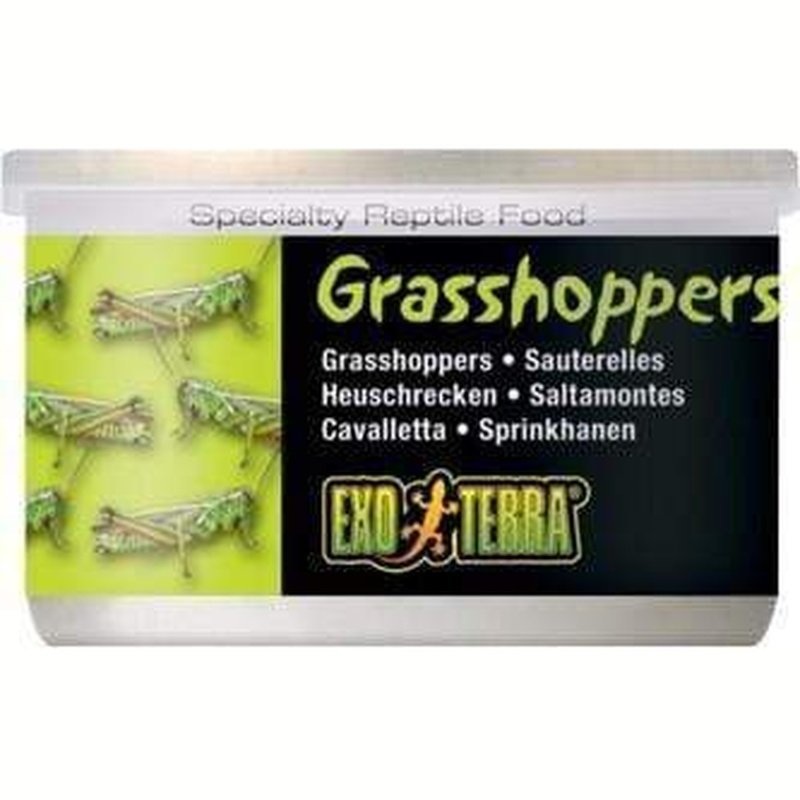 Exo Terra Canned Food 34g Grasshoppers