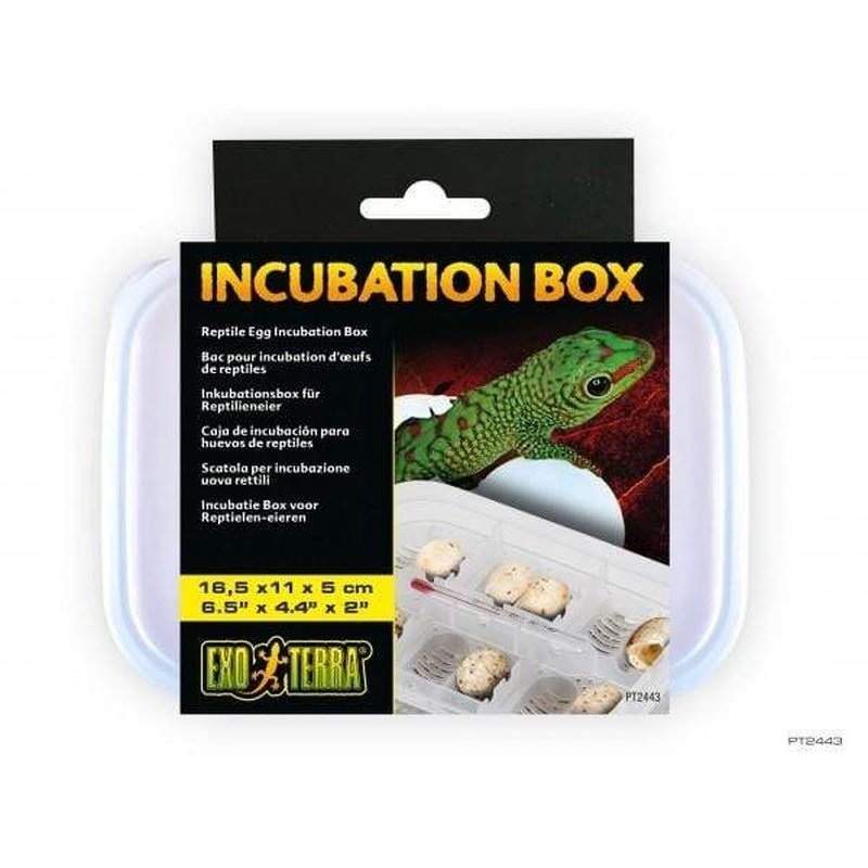 Exo Terra Reptile Egg Incubation Box