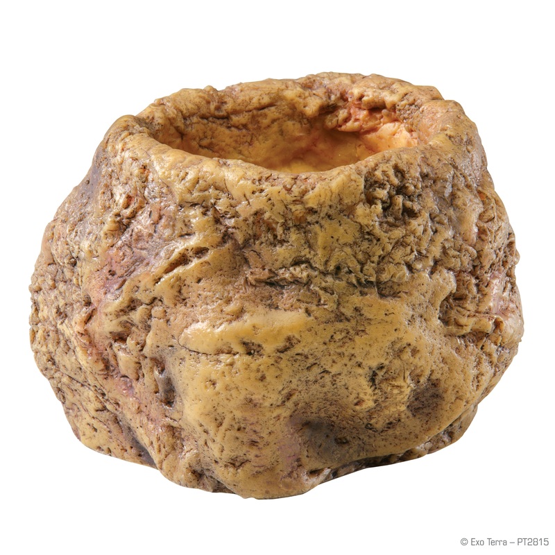 Exo Terra Snake Bowl Deep Water Dish and Hide