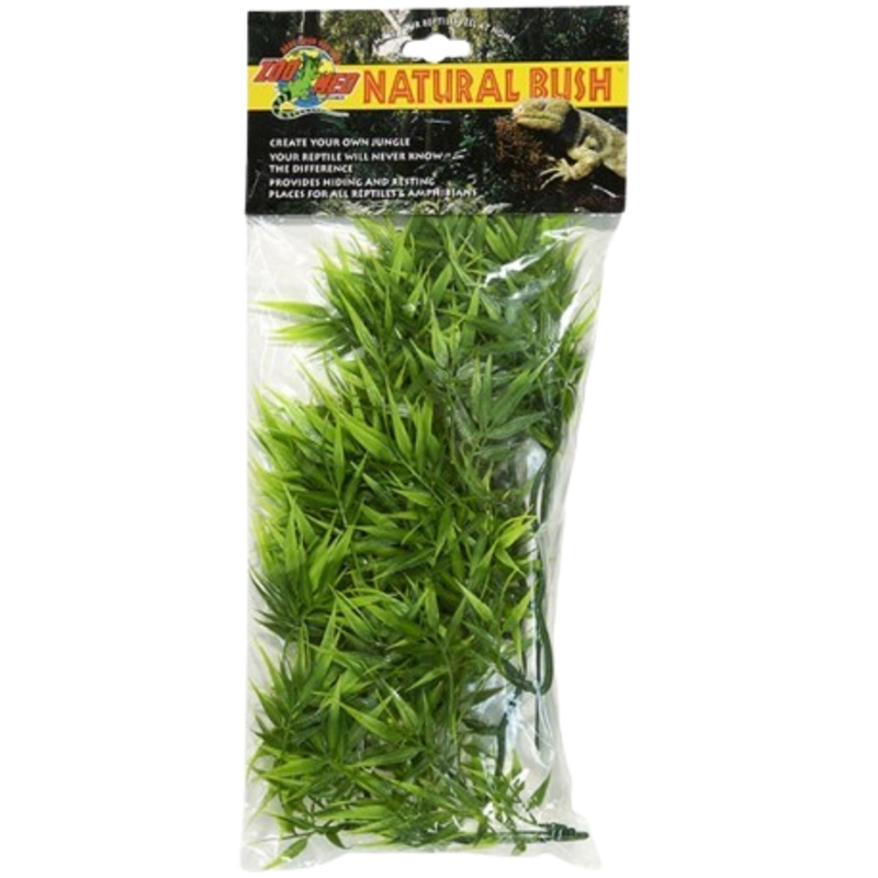 Zoomed: Madagascar Bamboo