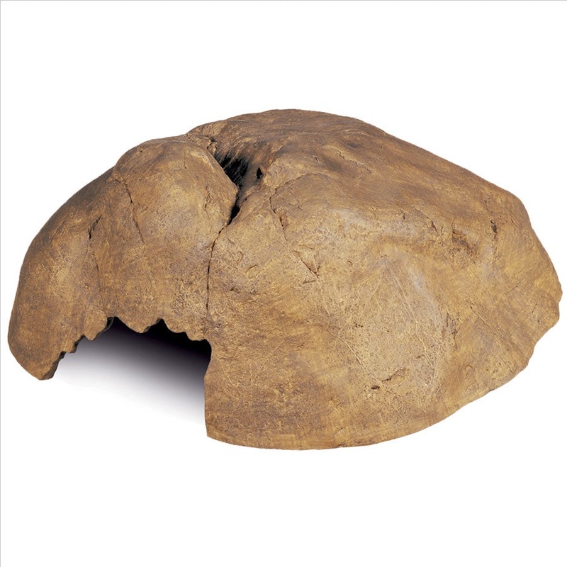 Exo Terra Hiding Cave – X-Large – PT2854