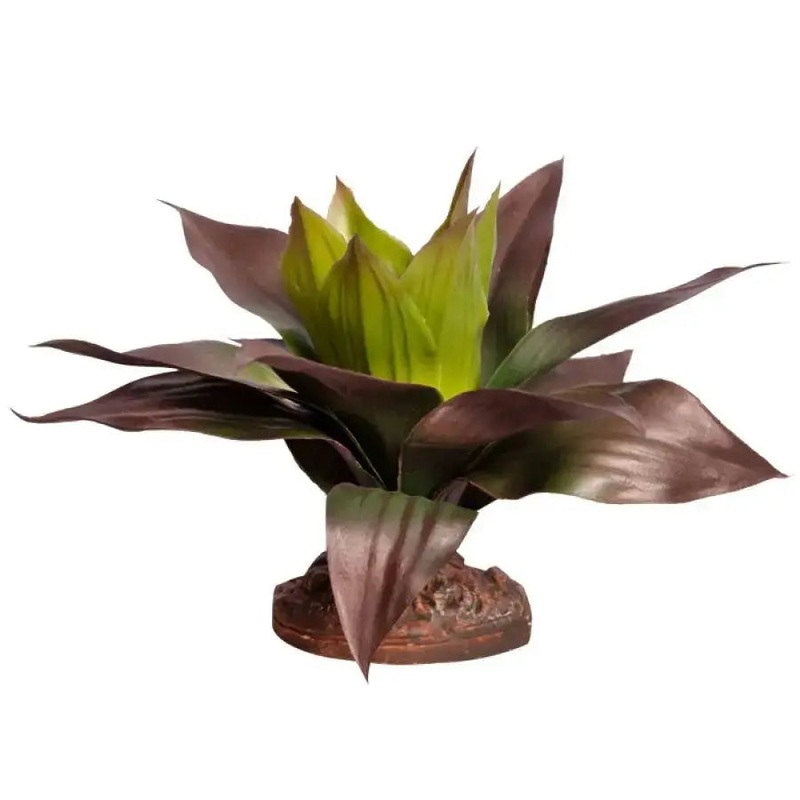 Reptile One Green Spathacea with Base