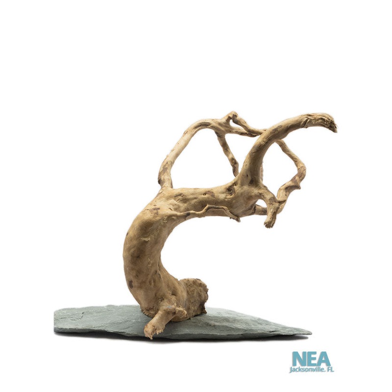 Spider Wood on Slate Small