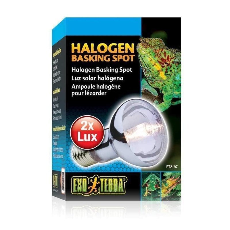 Exo Terra Halogen Basking Spot