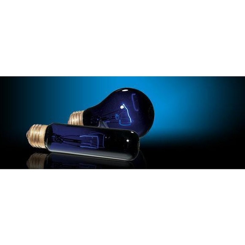 Exo Terra Night Heat Lamp