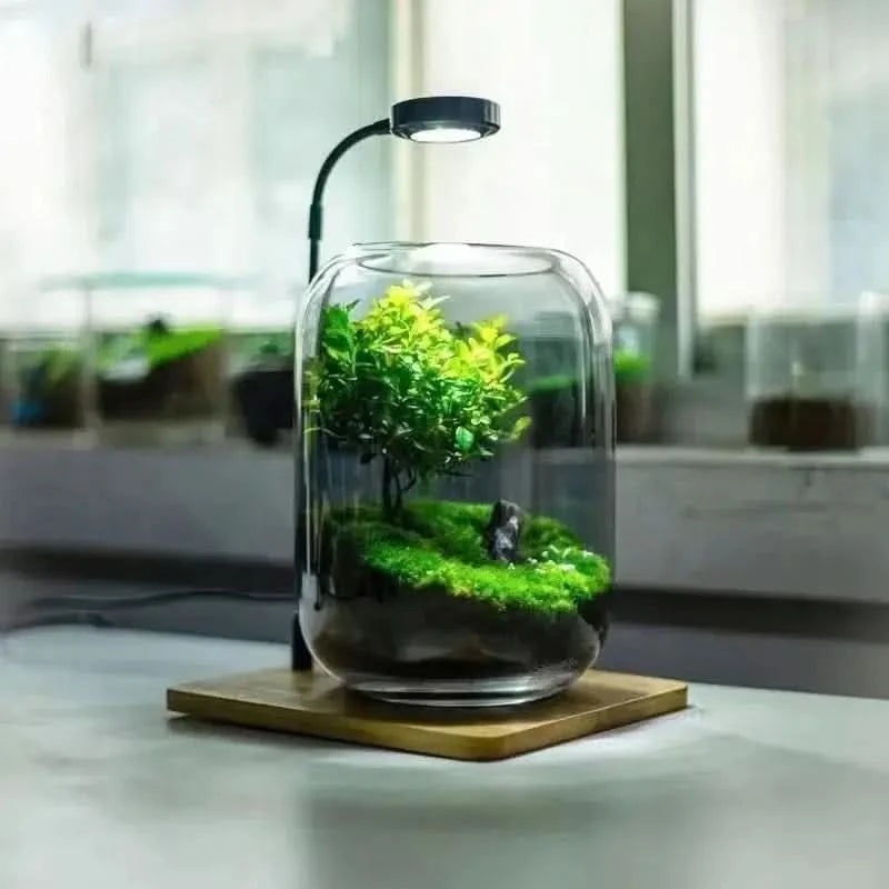 5W Desktop Usb Light with Wooden Base For Aquarium / Fish Bowl – 22cm x 23cm