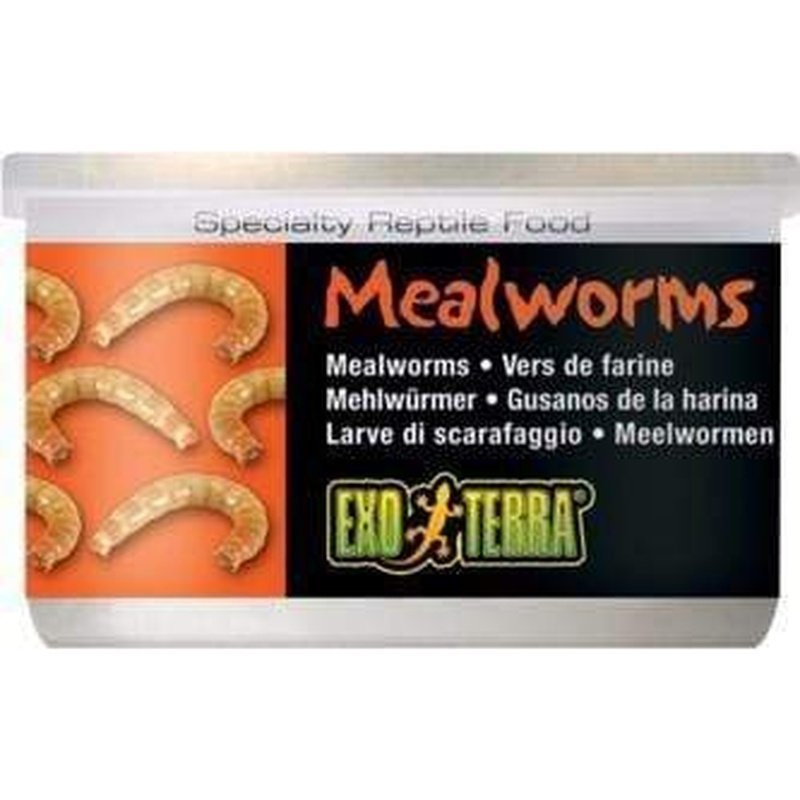Exo Terra Canned Food 34g Mealworms
