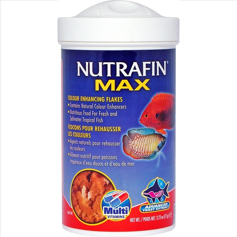 Nutrafin Max Tropical Colour Enhance Flakes – 77g