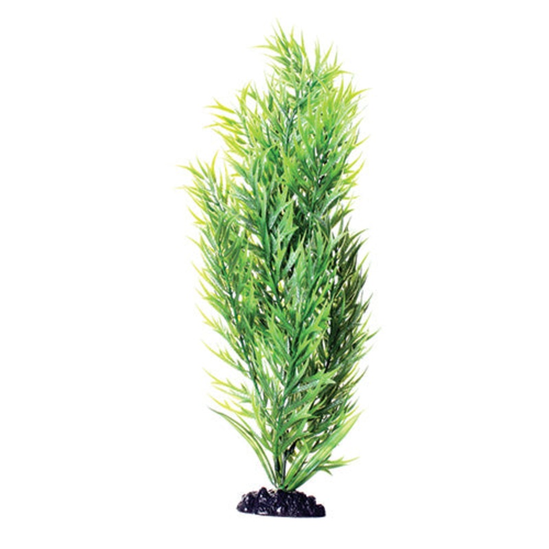 Green Bamboo – 16″ Aquarium Plant