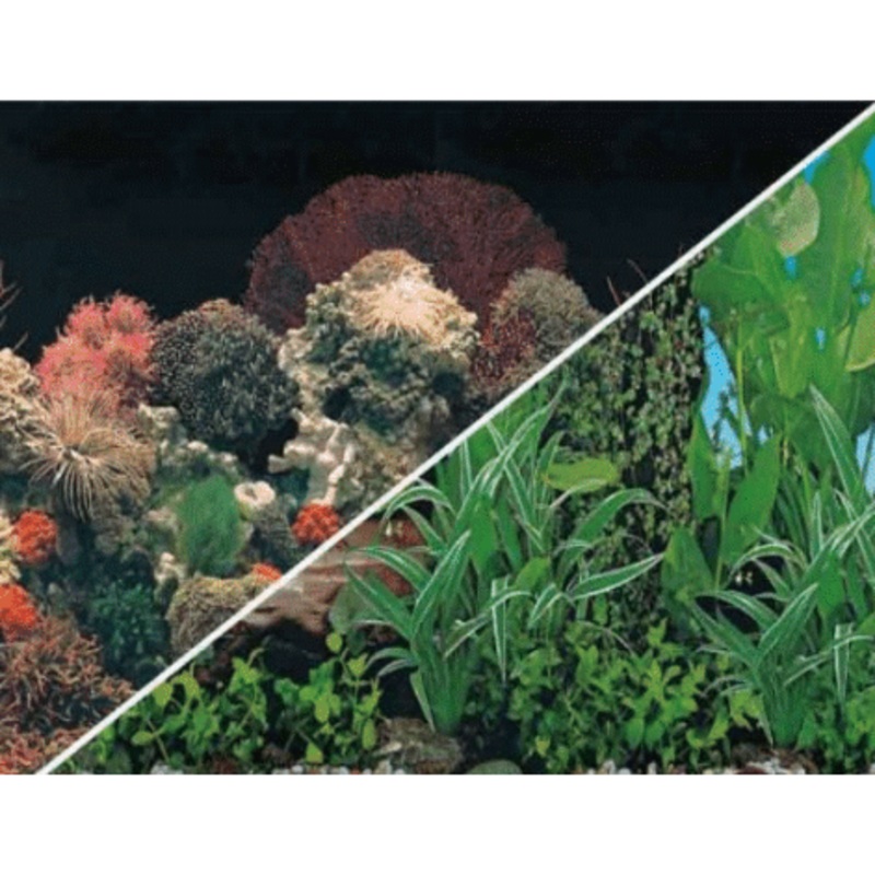 Background for Aquariums C031450 50x15cm