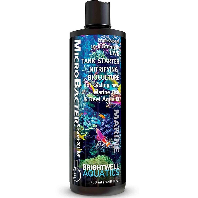 Brightwell Aquatics MicroBacter Start XLM 250ml