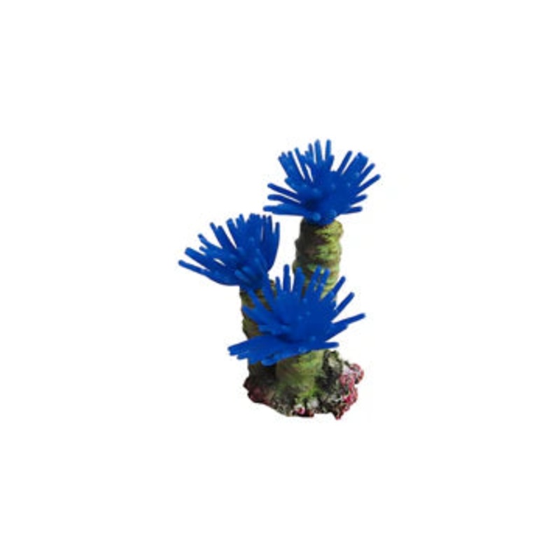 Blue Worm Feather Dusters Aquarium 5.5x11cm