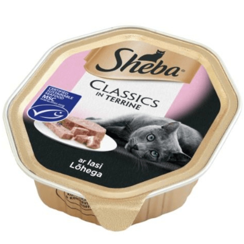 Sheba Foil with Salmon 85gr