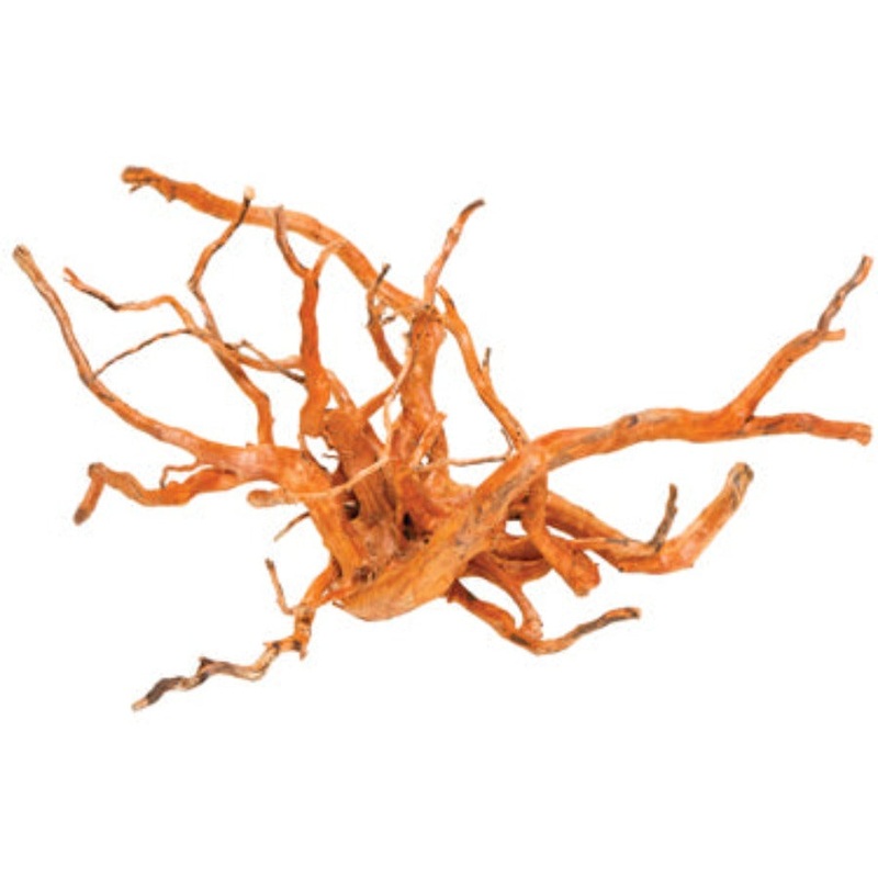 Aqua Natural Gold Vine Large 40cm – in store pick up only