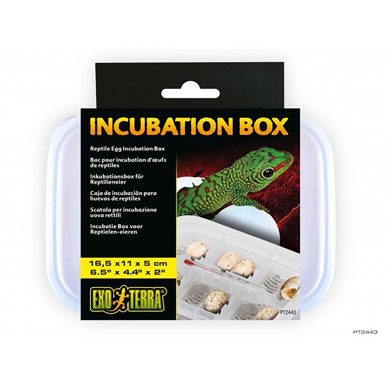 Exo Terra Reptile Incubator Tub