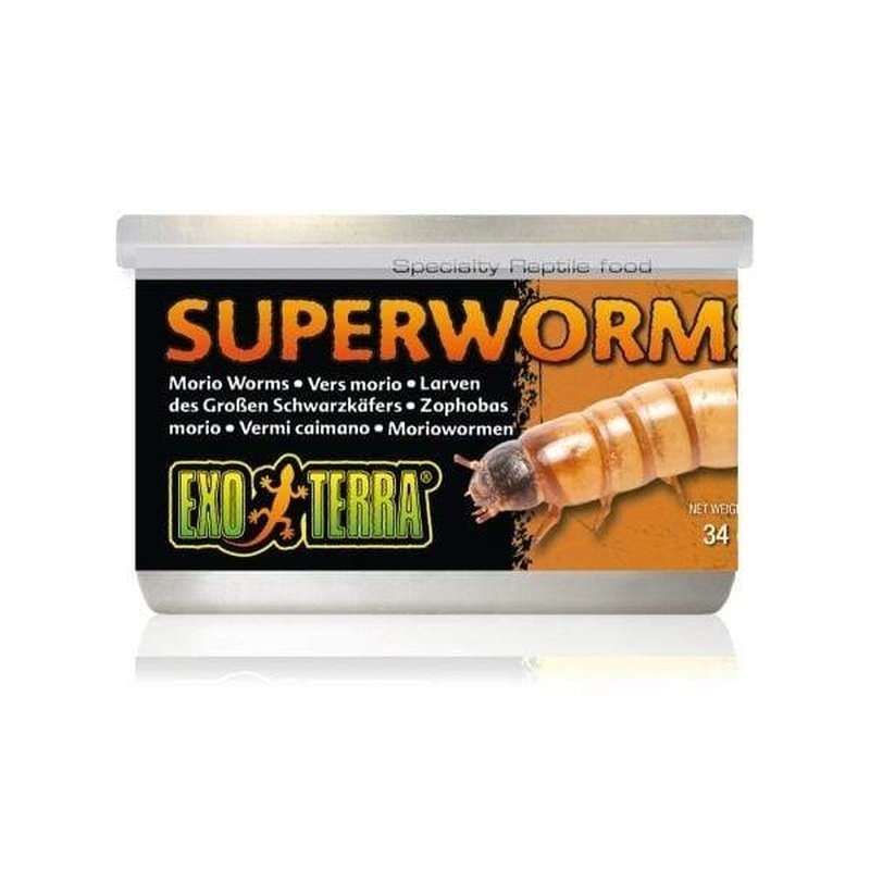 Exo Terra Canned Superworms 34gm
