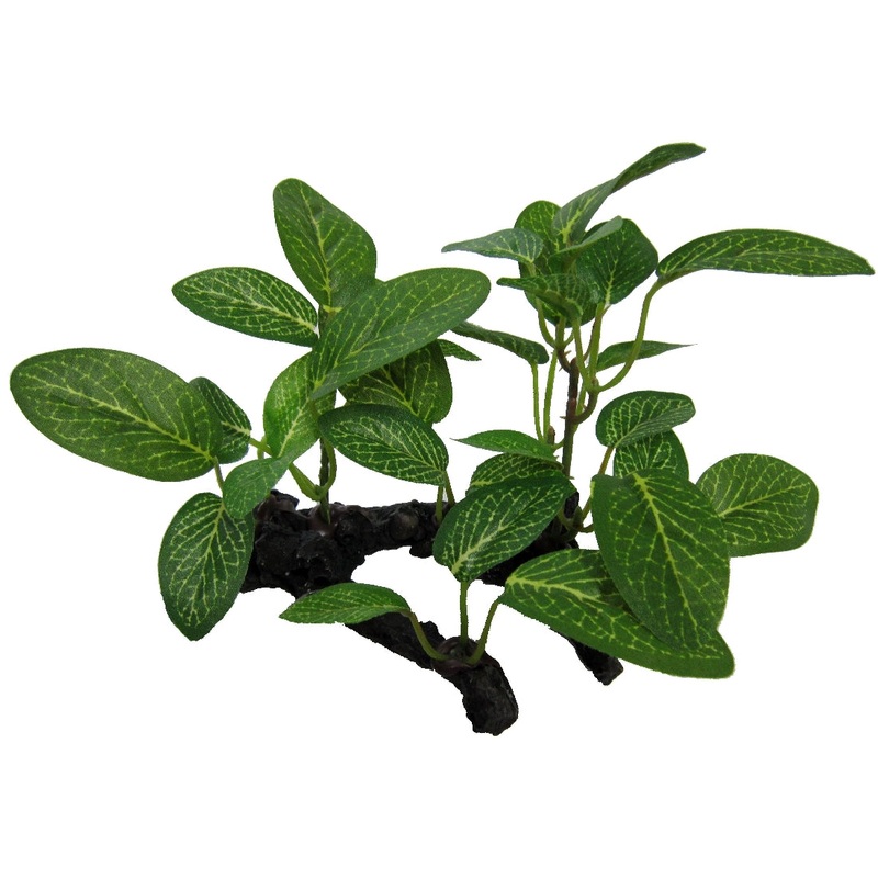 Fauna – Aqua Dekore African Shade Leaf On Log