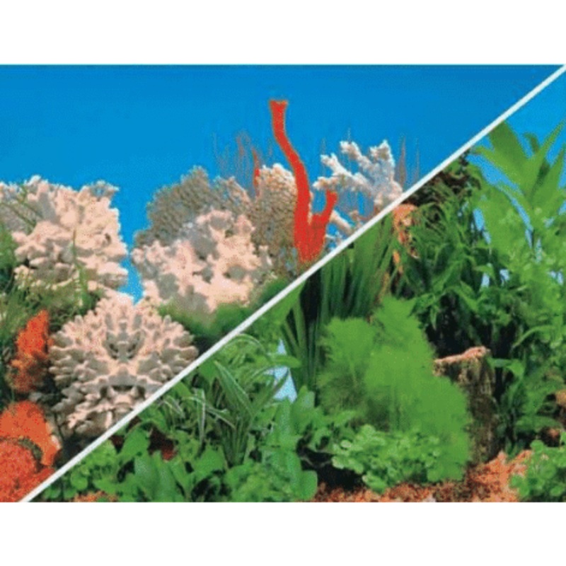 Background for Aquariums C041550 50x15cm
