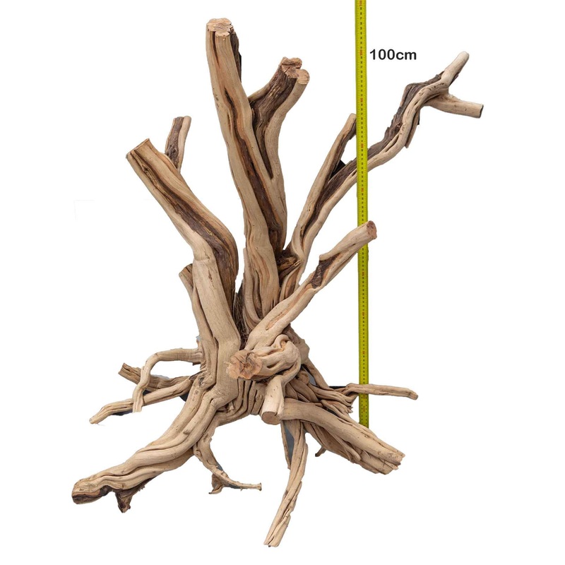 Aqua Natural Red Moore Driftwood Super 100cm+ – Instore Pick Up Only