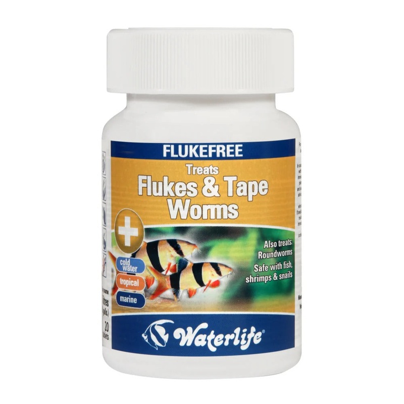 Waterlife Flukefree – Praziquantel based dewormer
