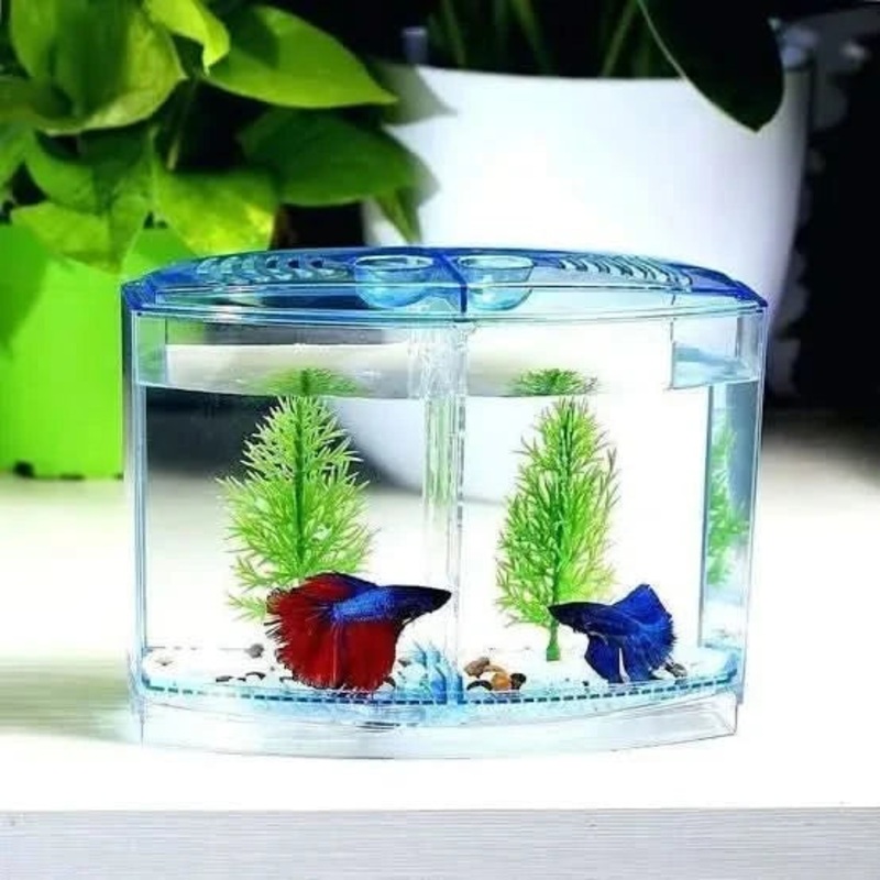 2 Bay Fighter Tank 1.5L Fighting Fish Betta Aquarium