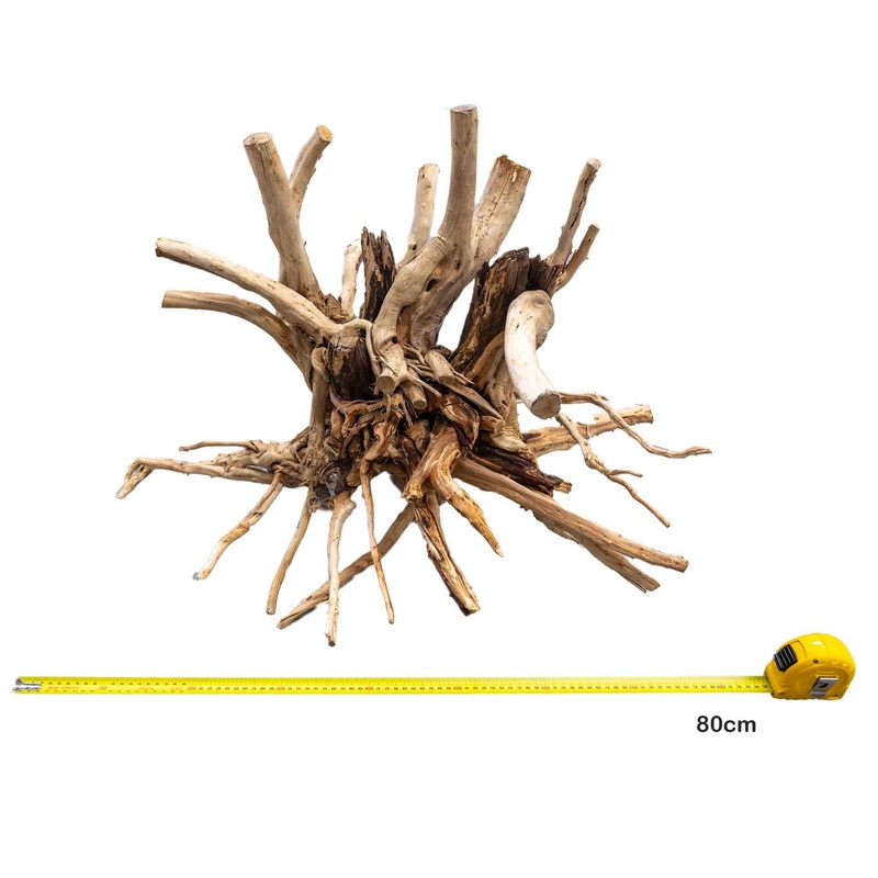 Aqua Natural Red Moore Driftwood XXL 70cm – Instore Pick Up Only