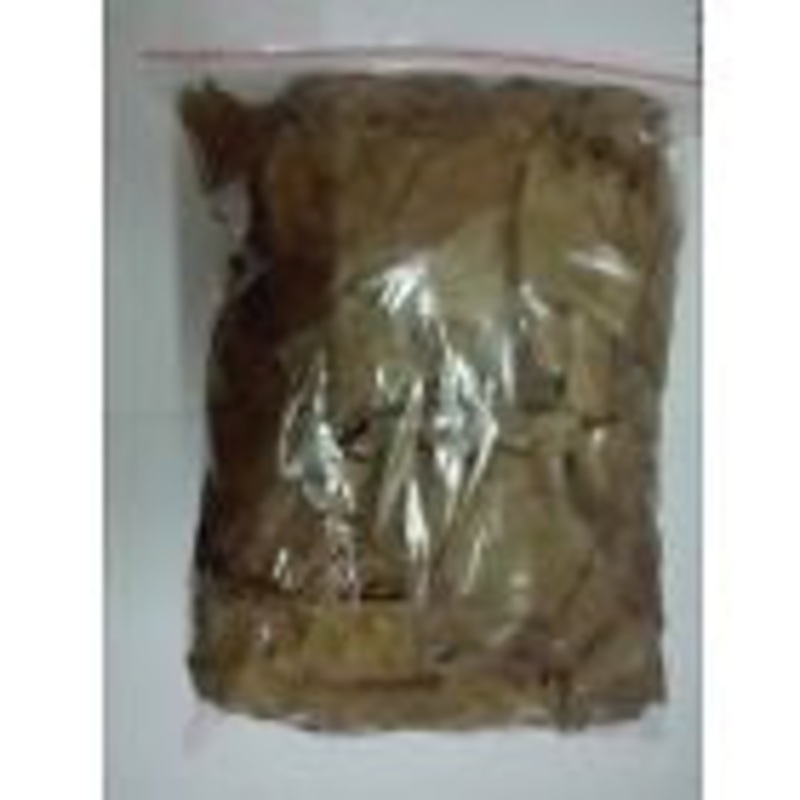 INDIAN ALMOND LEAVES CATAPPA KETAPANG