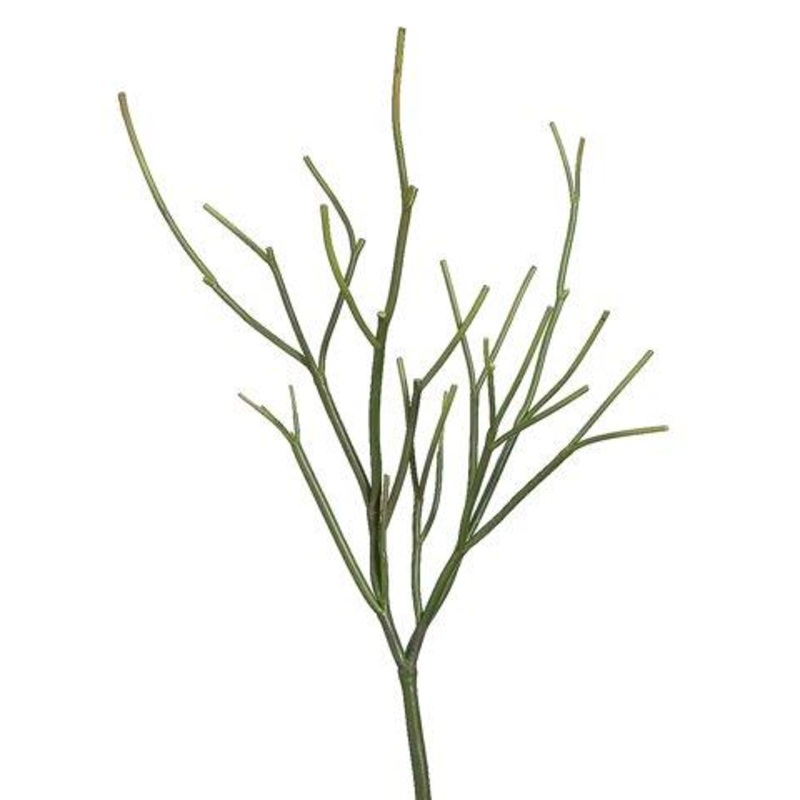 23″ Pencil Cactus Plant Green