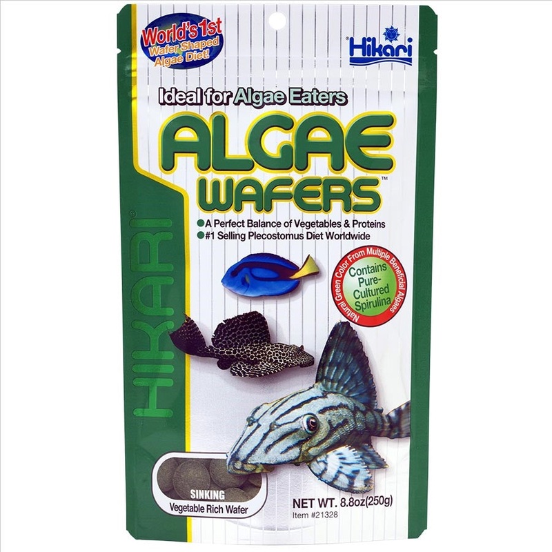 Hikari Algae Wafers 250g – Ideal for Algae Eaters