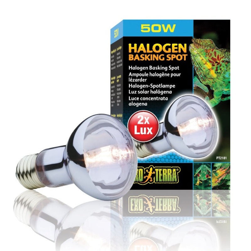 Exo Terra Halogen Basking Spot Lamps