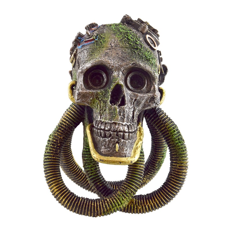 Breathing Skull