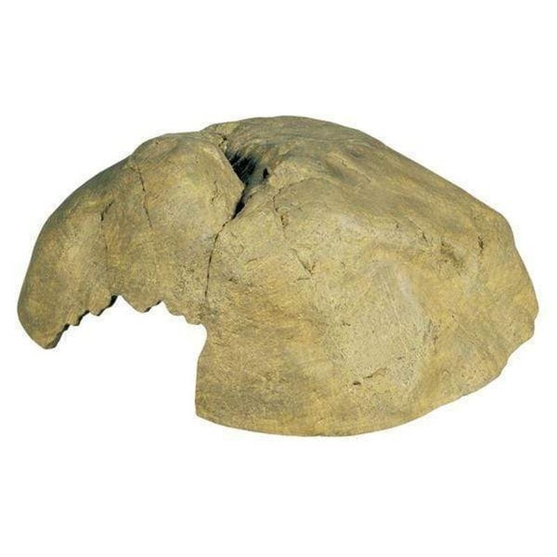 Exo Terra Reptile Cave / Natural Hiding Place X-Large