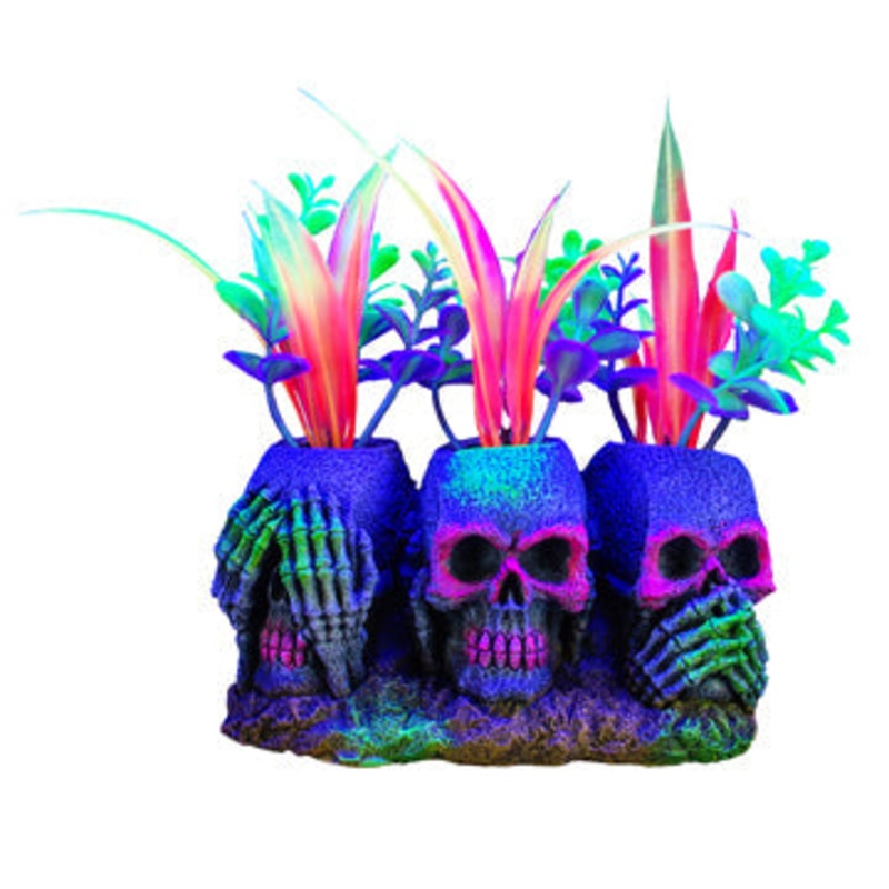 Marina iGlo Ornament – 3 Skulls with Plants  (5.5 in)