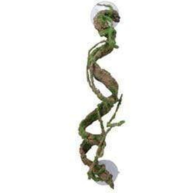 Eco Tech Corkscrew Vine with Moss 40cm