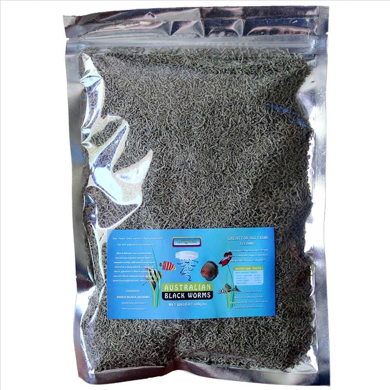 Australian Black Worms 100g Loose – Freeze Dried