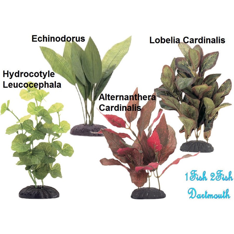 Marina EcoScaper Silk Plants