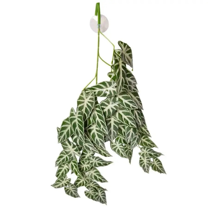 Reptile One Artificial Green Alocasia with Suction Cup