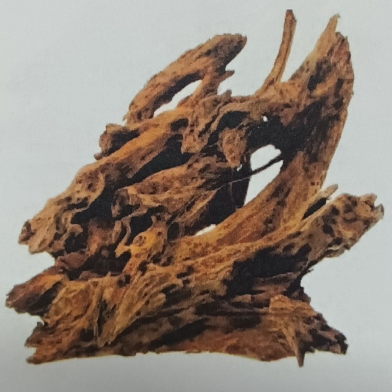 Driftwood for Aquarium L35-45cm