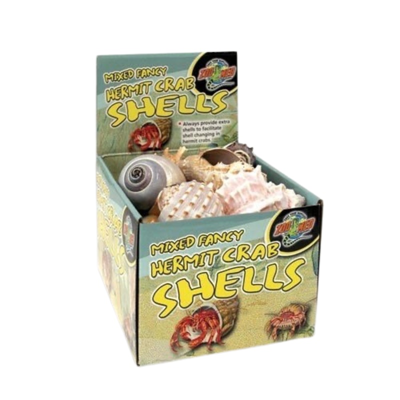 Fancy Hermit Crab Shells