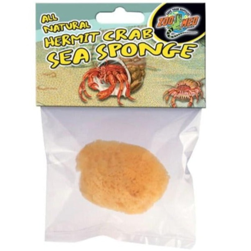 Zoo Med Hermit Crab Natural Drinking Sea Sponge