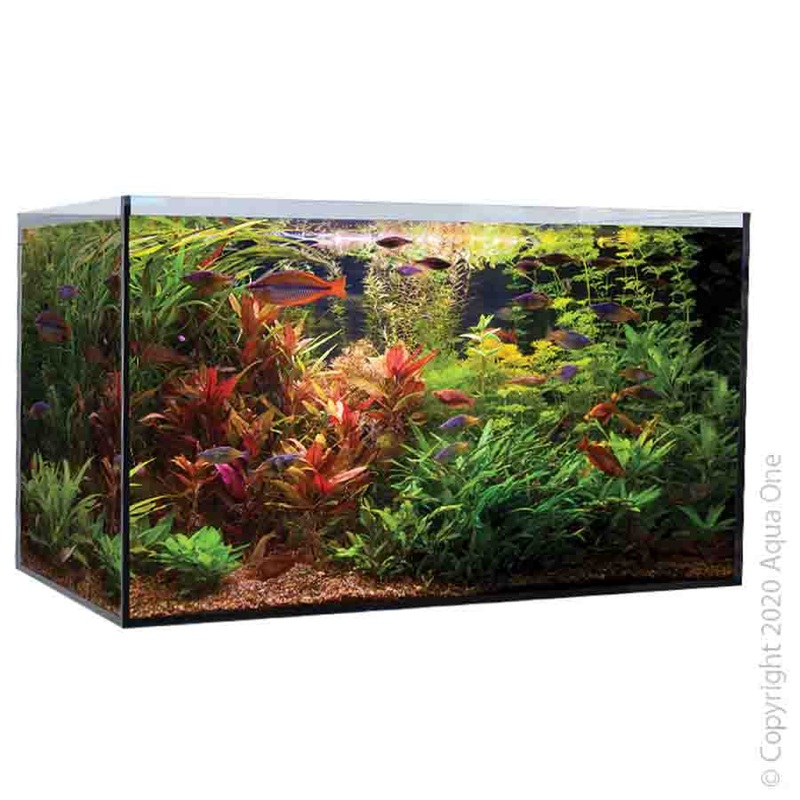 Aqua One AquaSys 235 – 235 litre Aquarium Tank