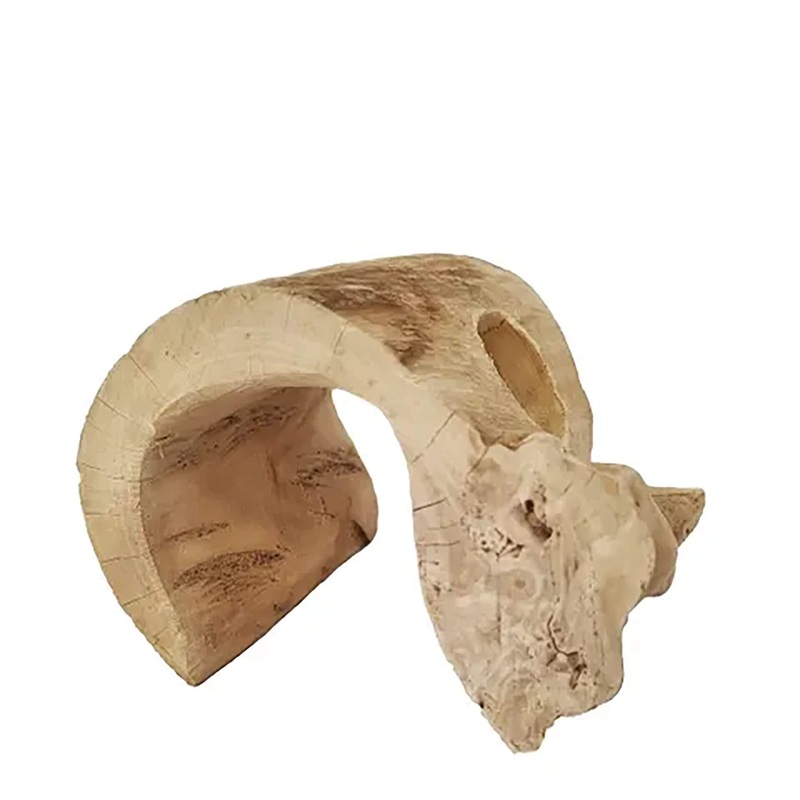 Jurassic Natural Reptile Hide Small 10cm