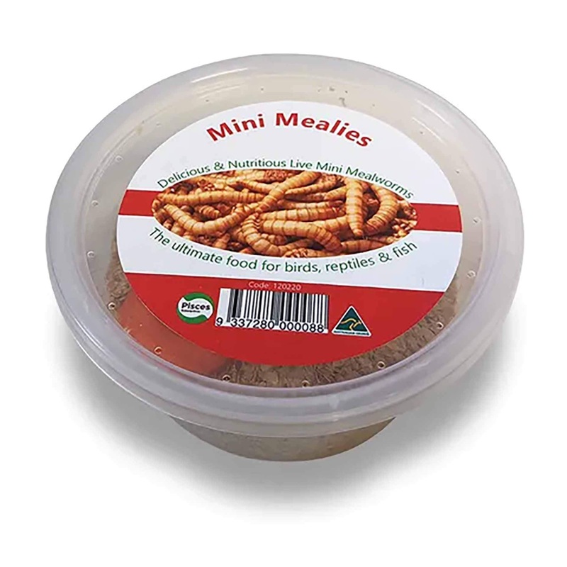 Pisces Mini Mealies – 25g Live Food – In Store Pick Up Only
