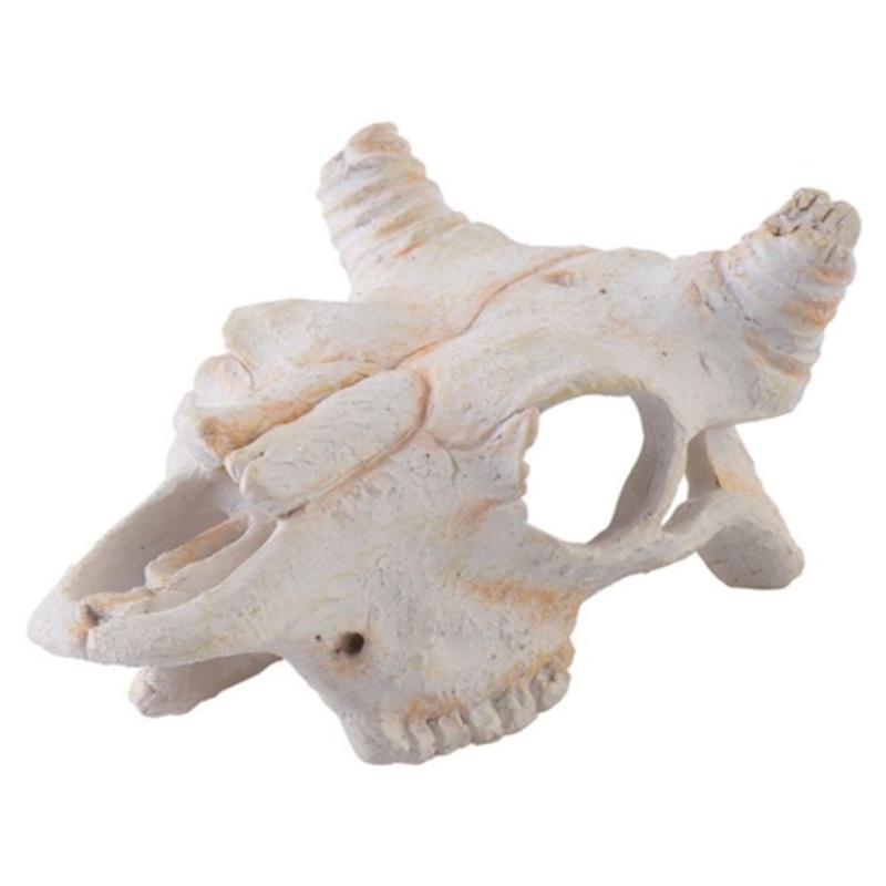 EXO-TERRA Buffalo Skull
