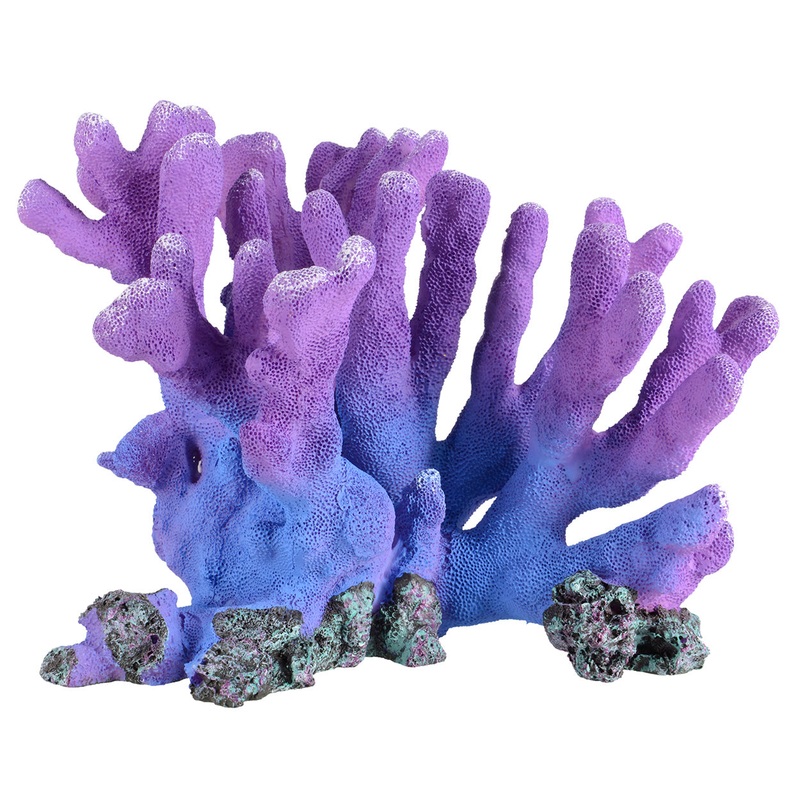 Branch Coral – Purple